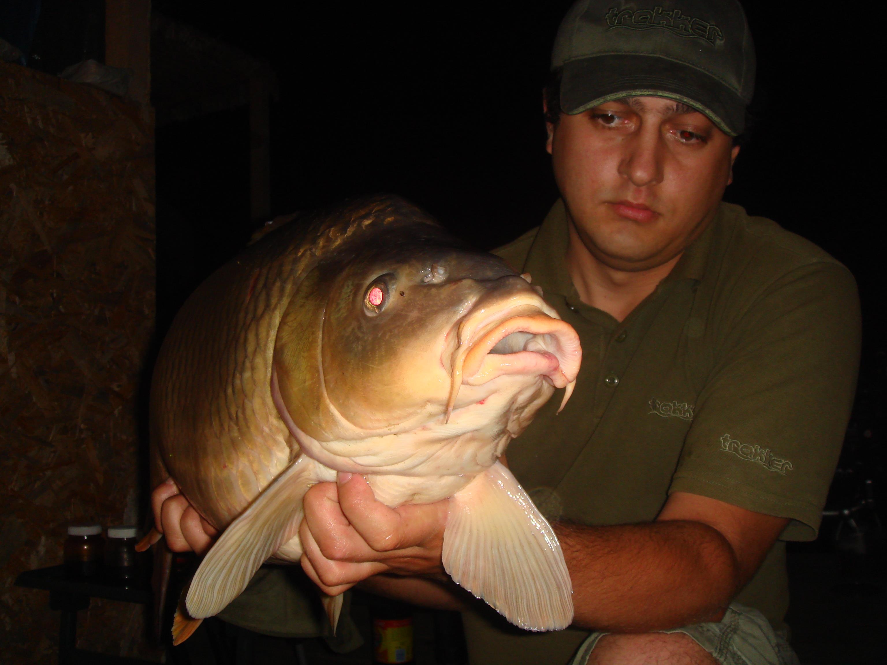 Magura 9 - DSC08710.JPG